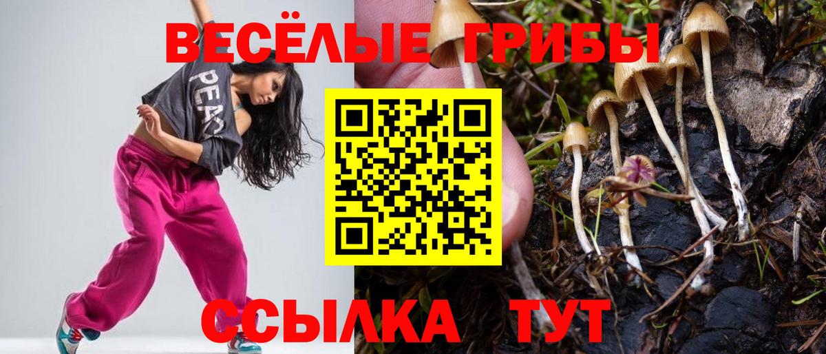 Белгород  Псилоцибиновые грибы Cubensis  Вход с VPN 